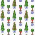 Continuous Roll Gift Wrap
