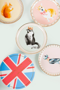 Best of British Coasters