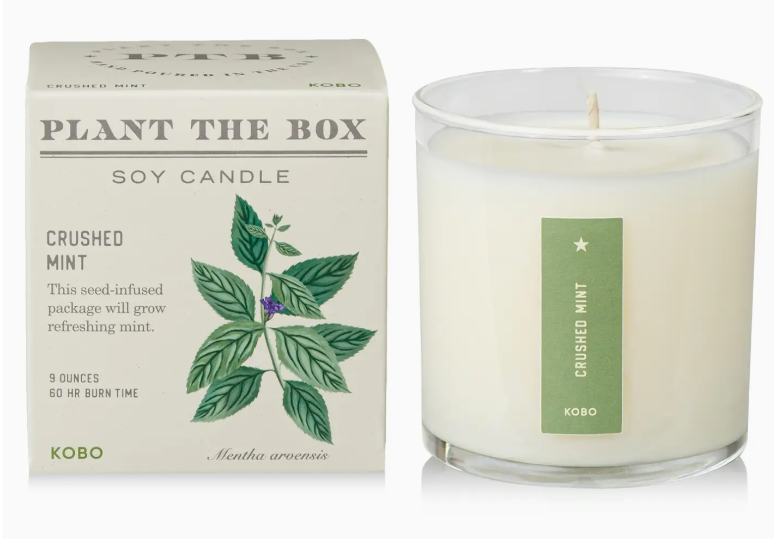 Plant The Box Candle