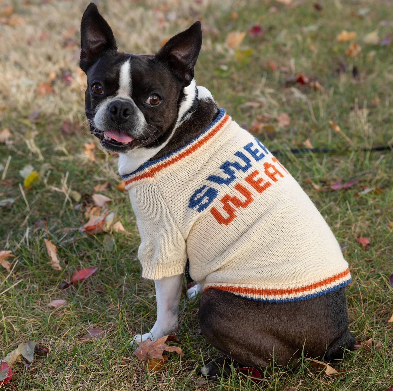 "Sweater Weather" Dog Sweater