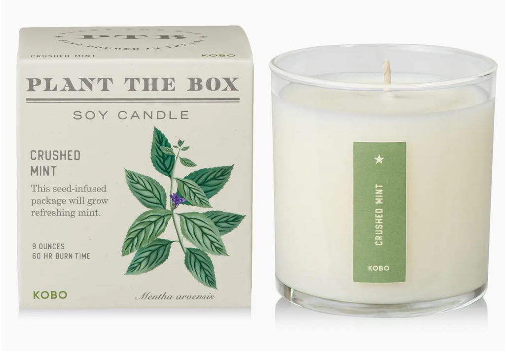 Plant The Box Candle