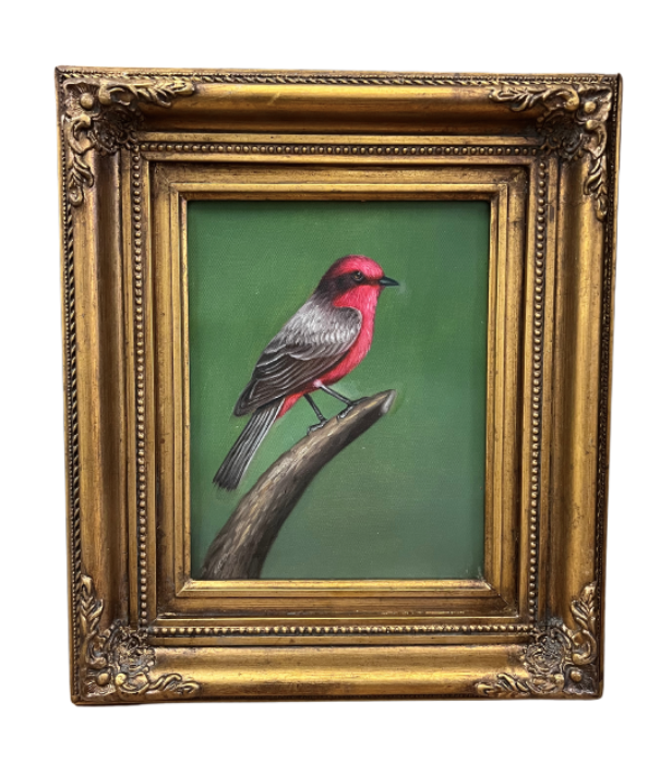 "Red Finch" Naturalistic Painting