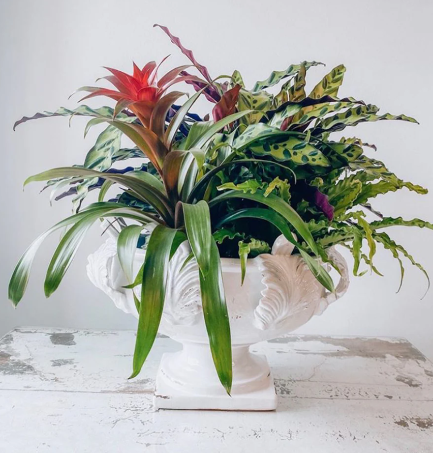Vinci Centerpiece with Acanthus Leaf Decor