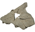 Petrified Wood Art
