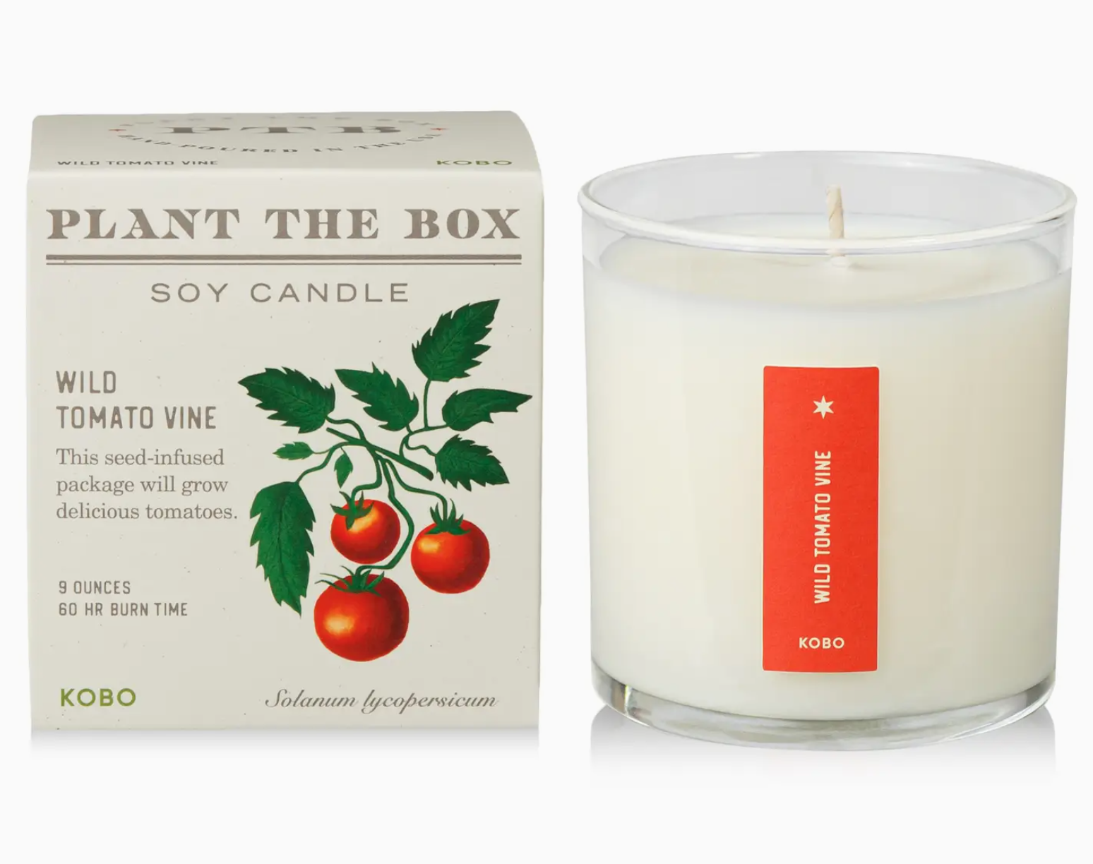 Plant The Box Candle