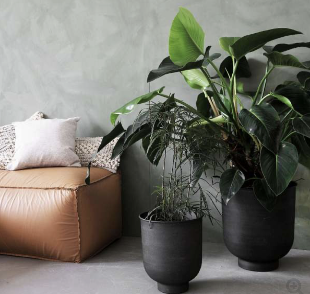 Vig Iron Planter by Society of Lifestyle