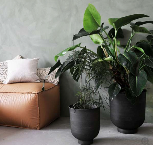 Vig Iron Planter by Society of Lifestyle