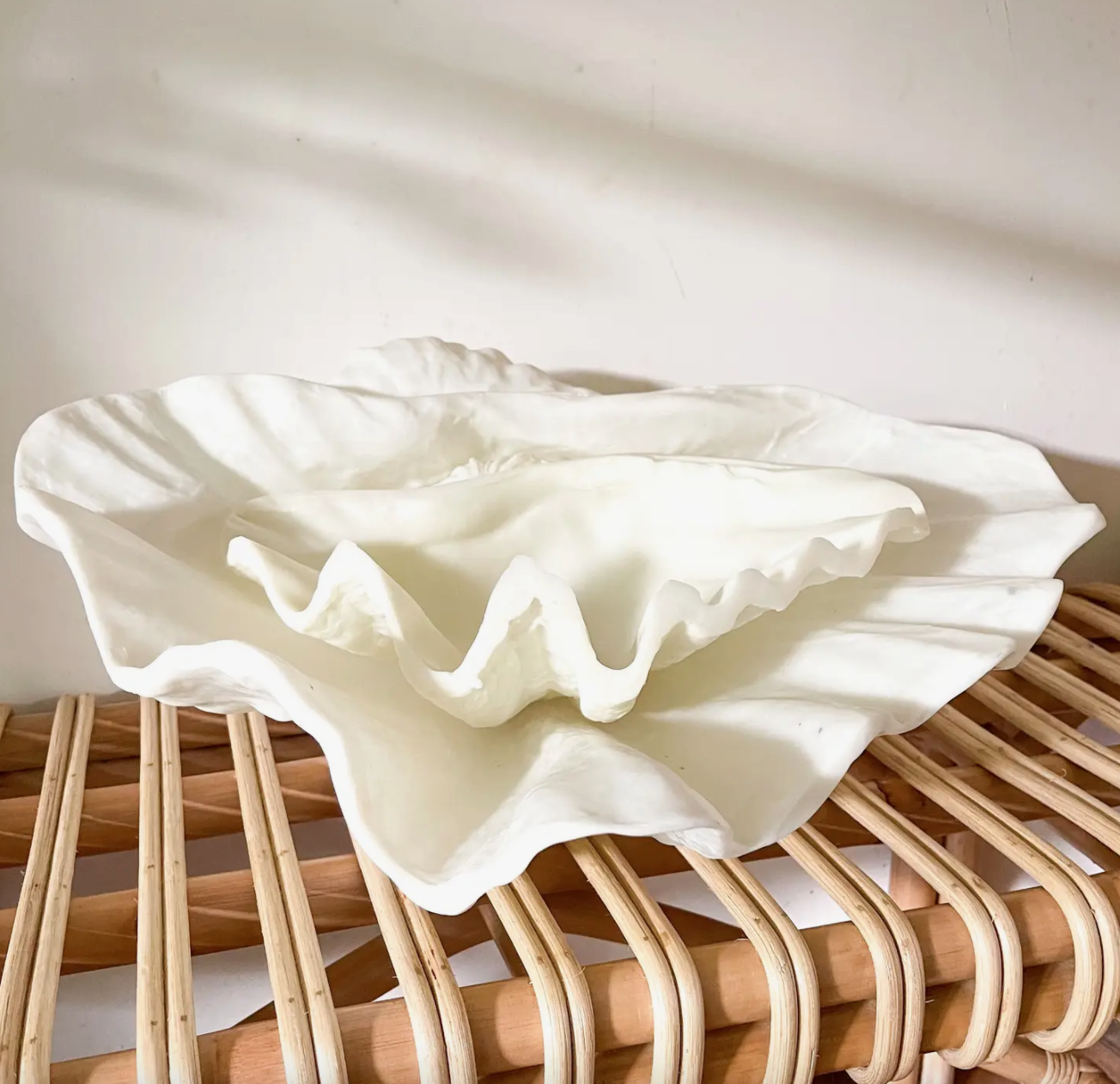 Decorative Clam Shell