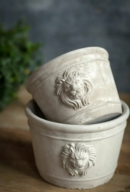 Cement Lion Head Planter