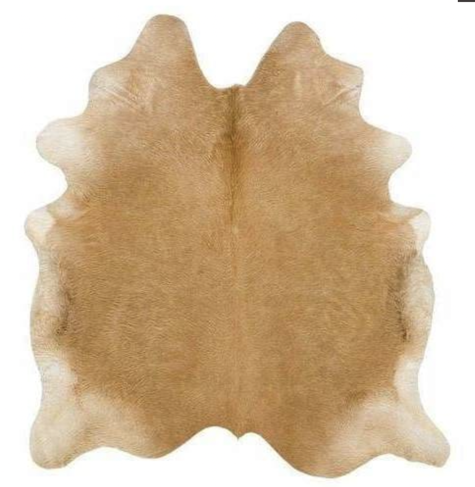 Brown Cowhide Rug