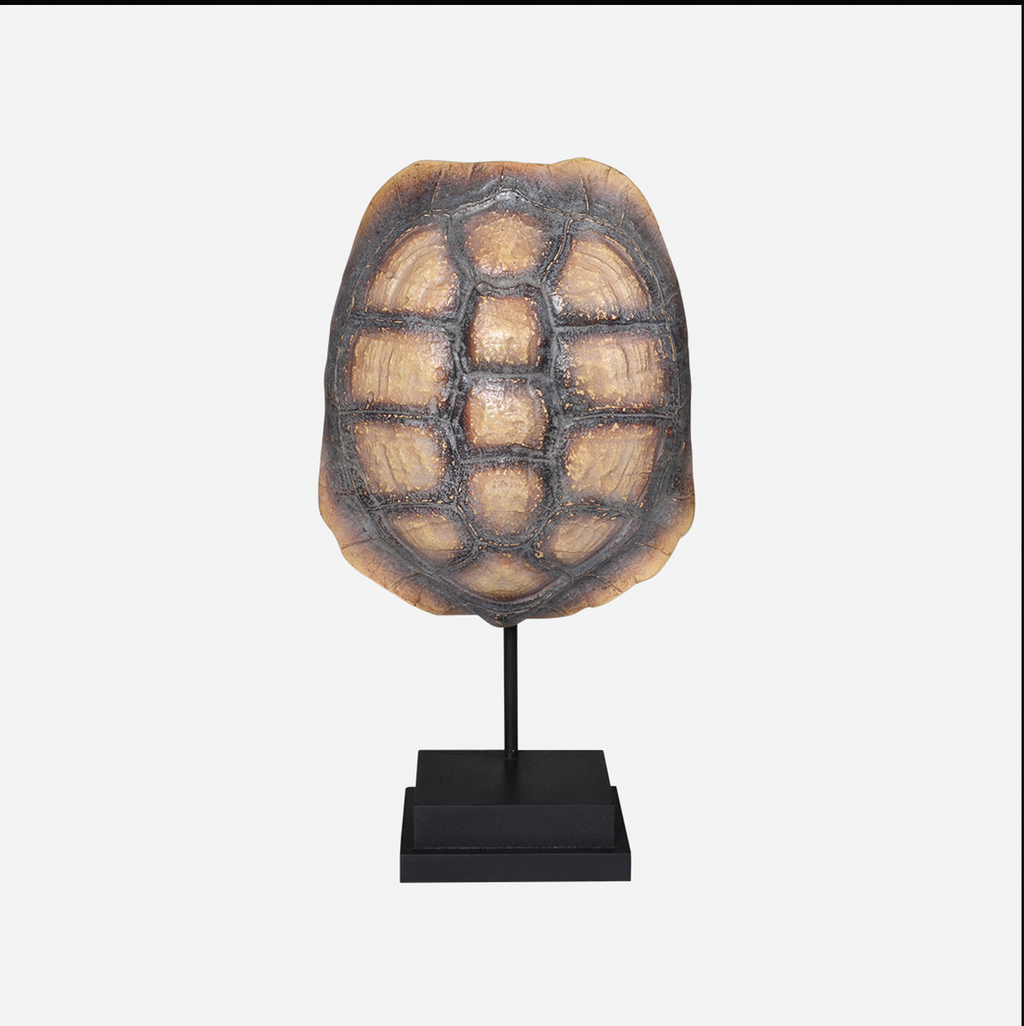 Faux Turtle Shell on Stand