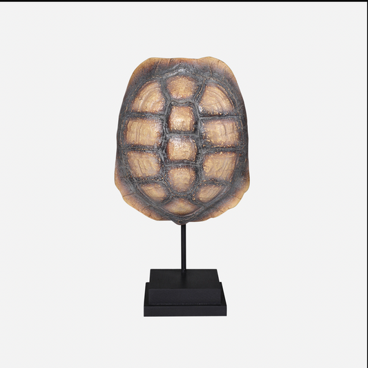 Faux Turtle Shell on Stand