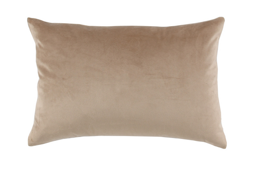 Torri Velvet Pillow