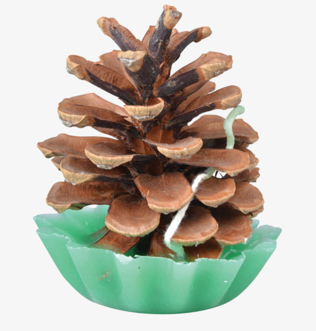 Pine Cone Fire Starter