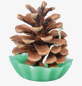 Pine Cone Fire Starter