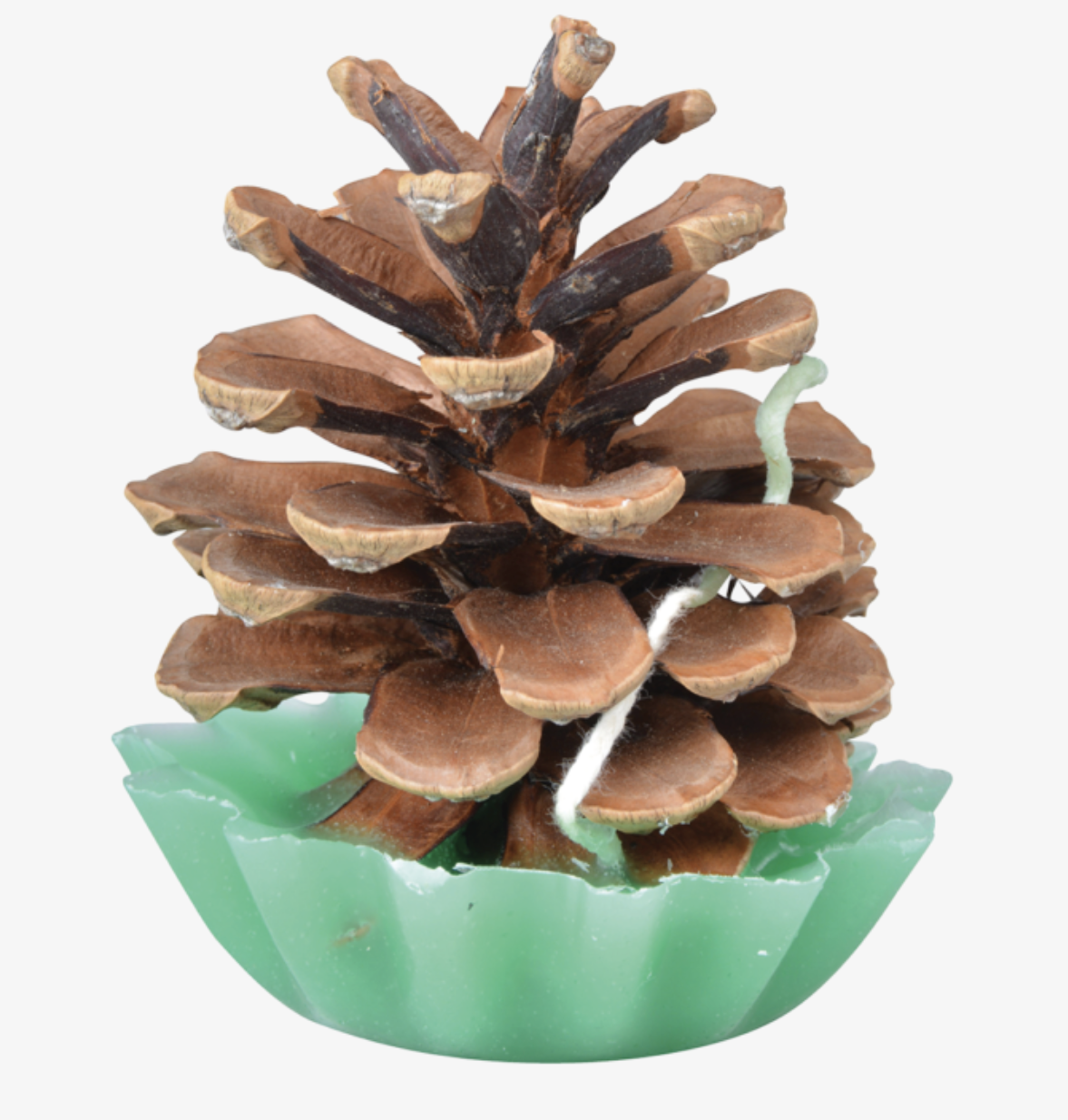 Pine Cone Fire Starter