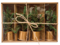 Faux Pine Tree Place Card Holders, Boxed Set of 4