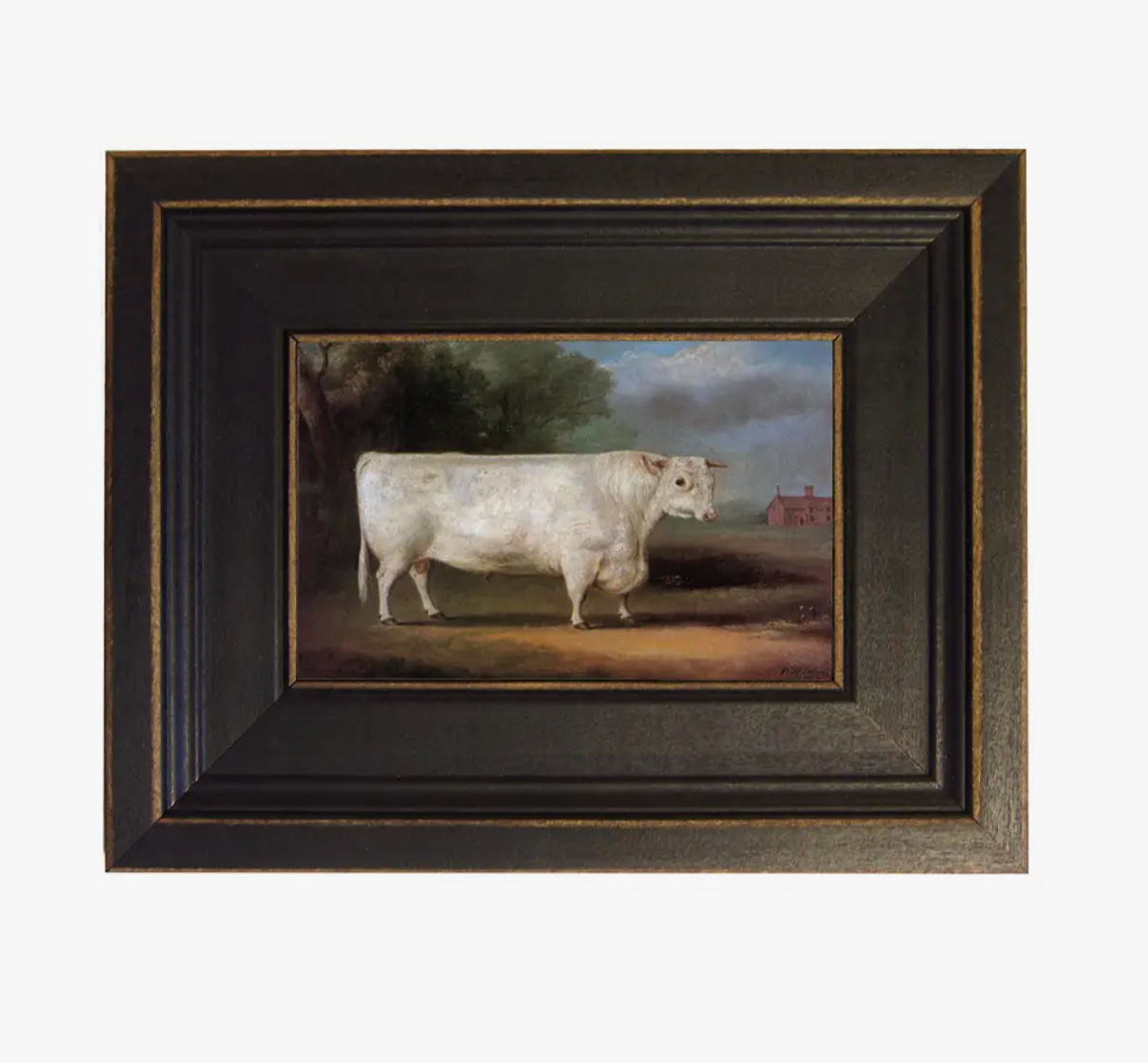 "Prized Bull" Oil Painting Print