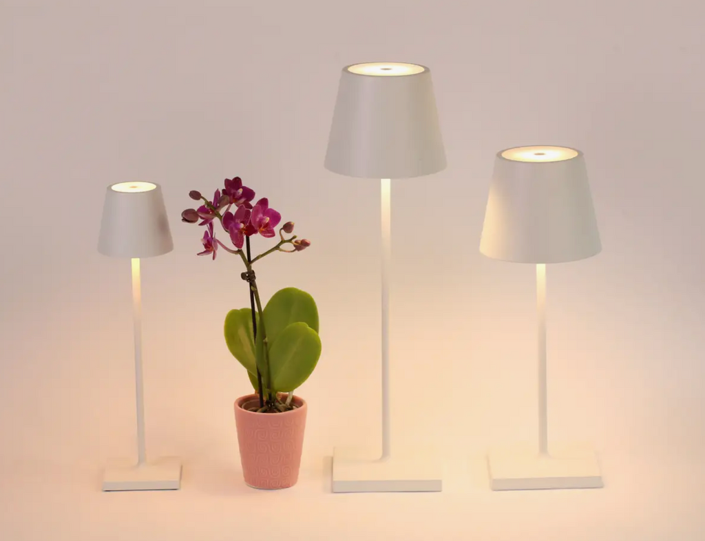 Poldina Pro Cordless Lamp