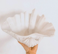 Decorative Clam Shell