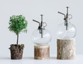 Glass Plant Mister