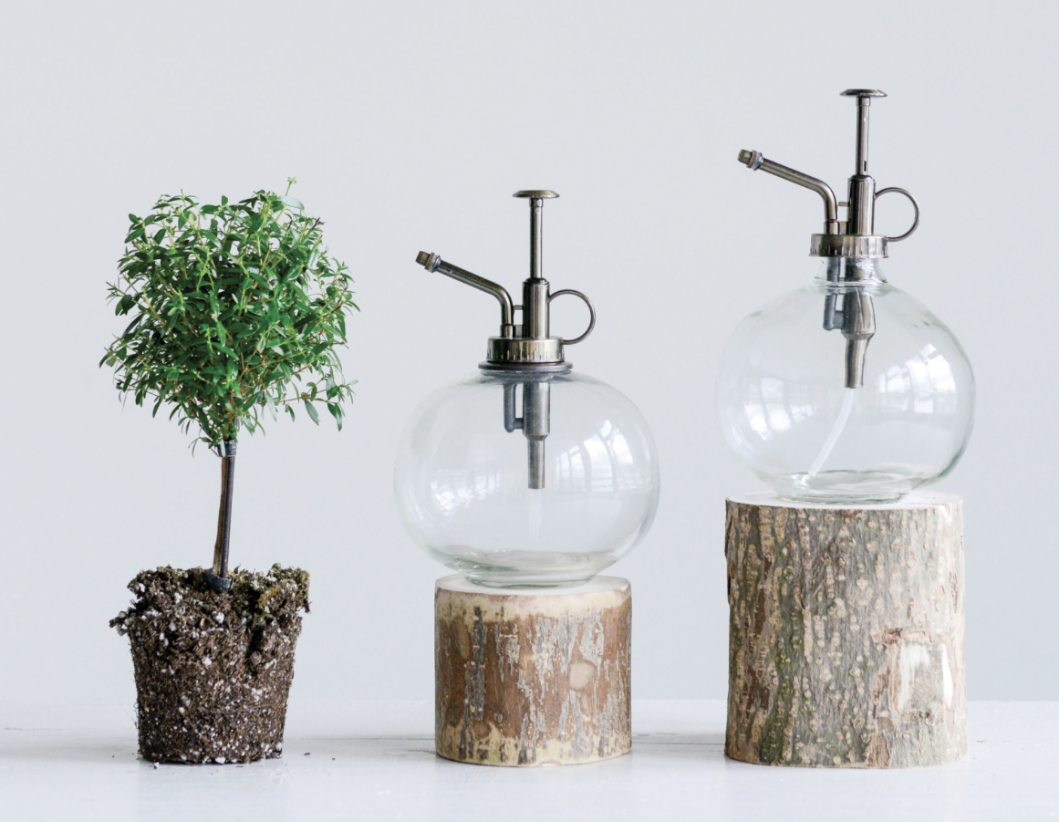 Glass Plant Mister